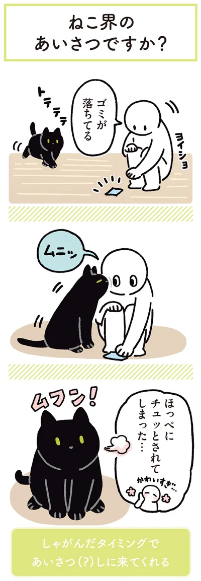 『黒猫ろんと暮らしたら5』より