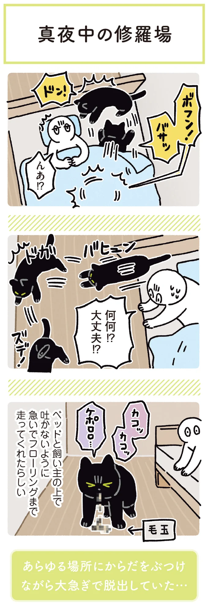 『黒猫ろんと暮らしたら5』より