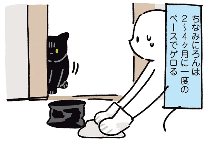 『黒猫ろんと暮らしたら5』より