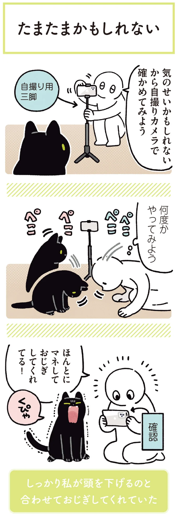 『黒猫ろんと暮らしたら5』より