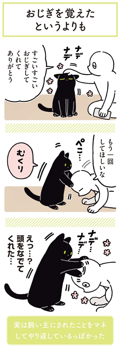 『黒猫ろんと暮らしたら5』より