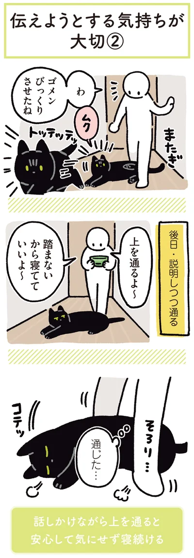 『黒猫ろんと暮らしたら5』より