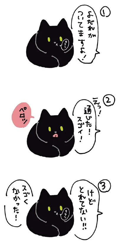 『黒猫ろんと暮らしたら5』より