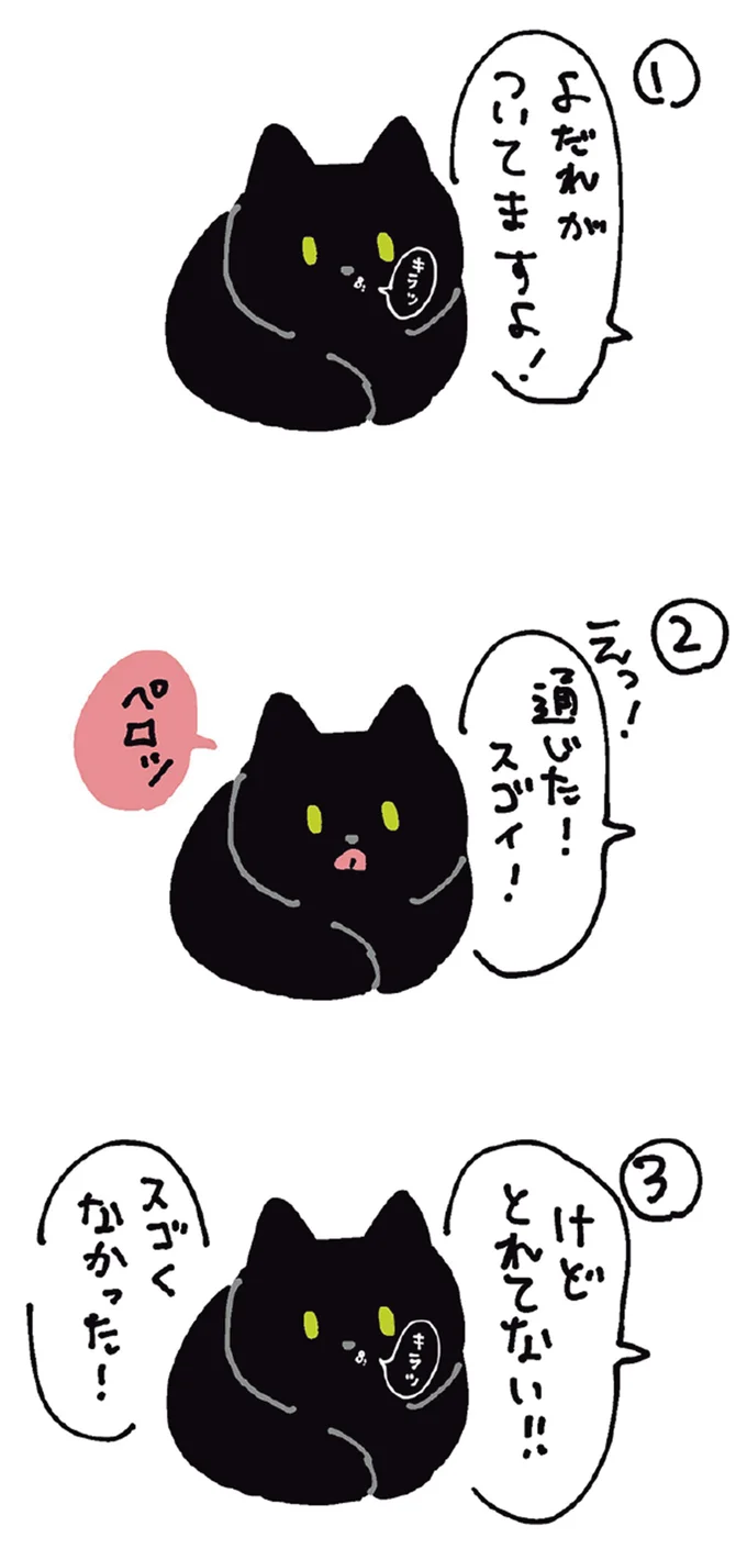 『黒猫ろんと暮らしたら5』より
