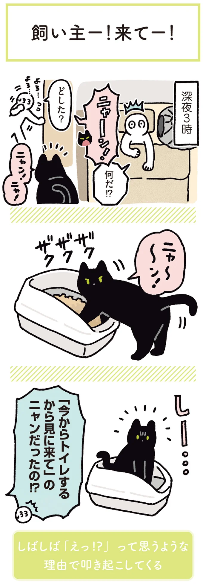 『黒猫ろんと暮らしたら5』より
