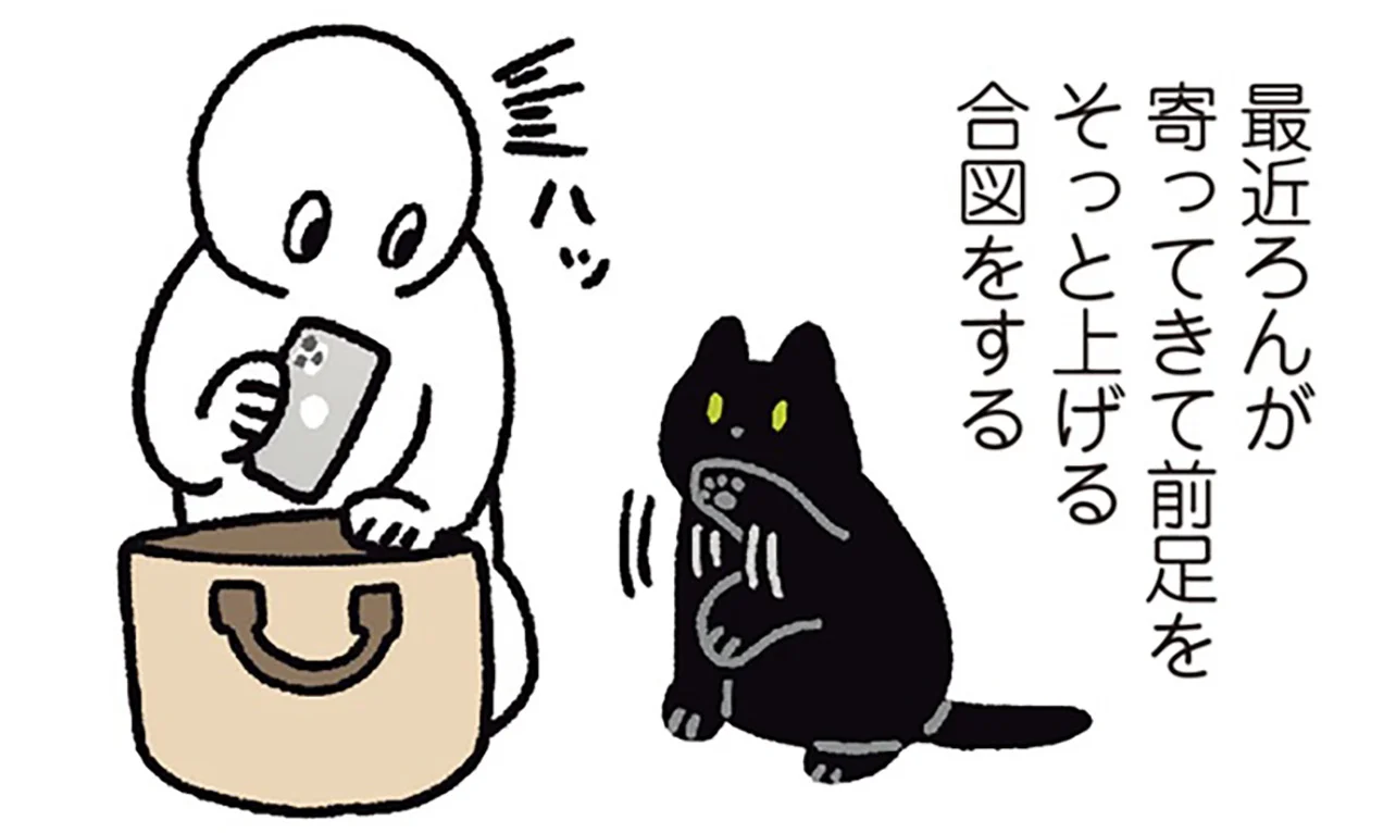 そっと前足を上げて。飼い主にお手を指南する黒猫ろん - レタスクラブ