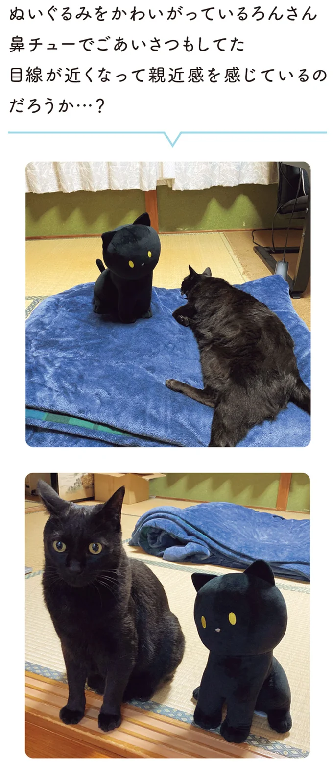 鼻チューでごあいさつもしてた