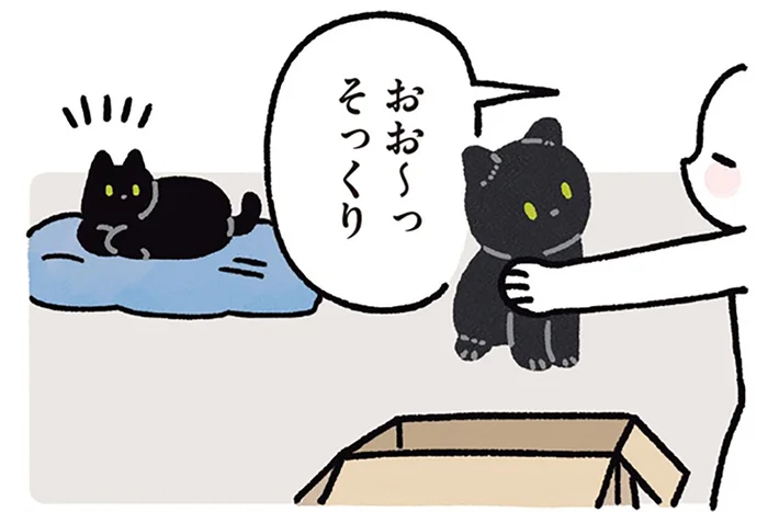 どんなリアクションかな？黒猫ろんそっくりのBIGぬいぐるみ