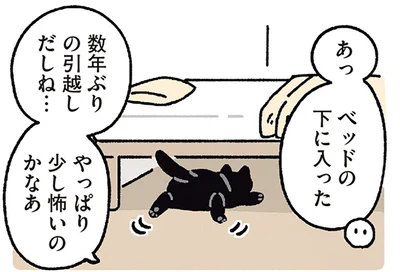 少し怖いのかなあ
