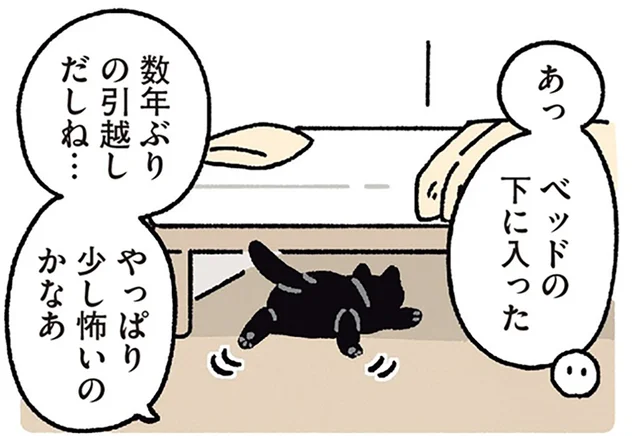 新居はどんな反応？引っ越し直後にベッド下へ潜り込んだ黒猫ろん