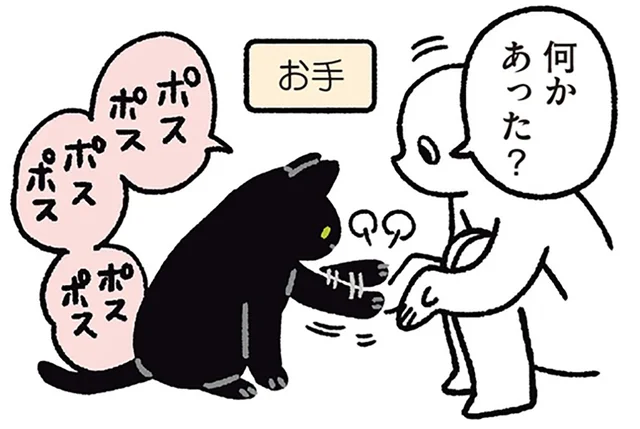 大ジャンプ、お手、体重測定も!?得意技を連続披露してくれる黒猫ろん