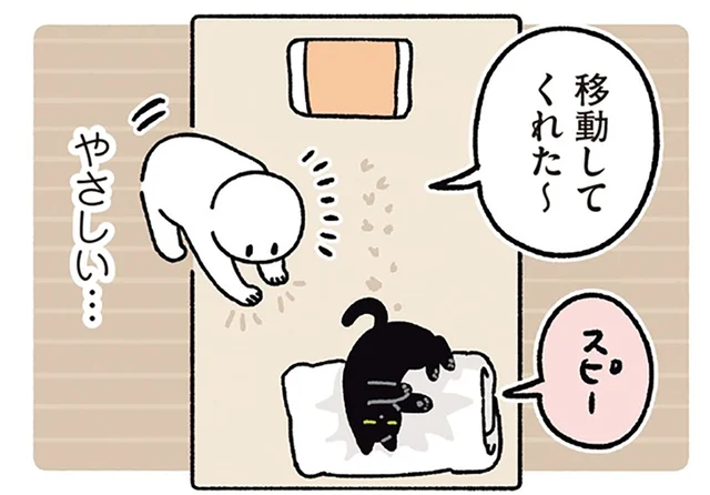 寝る場所だってきちんと譲れるよ。優しさ全開の黒猫ろん