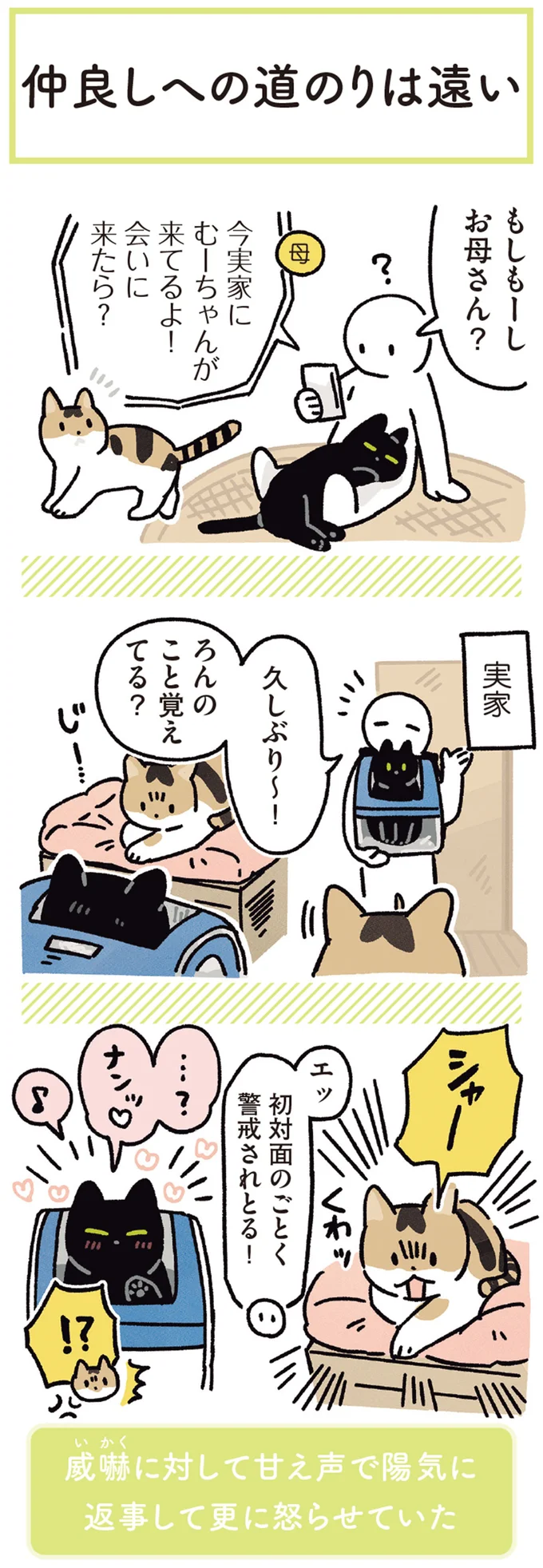 初対面のごとく警戒されとる!