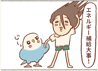 エネルギー補給大事！