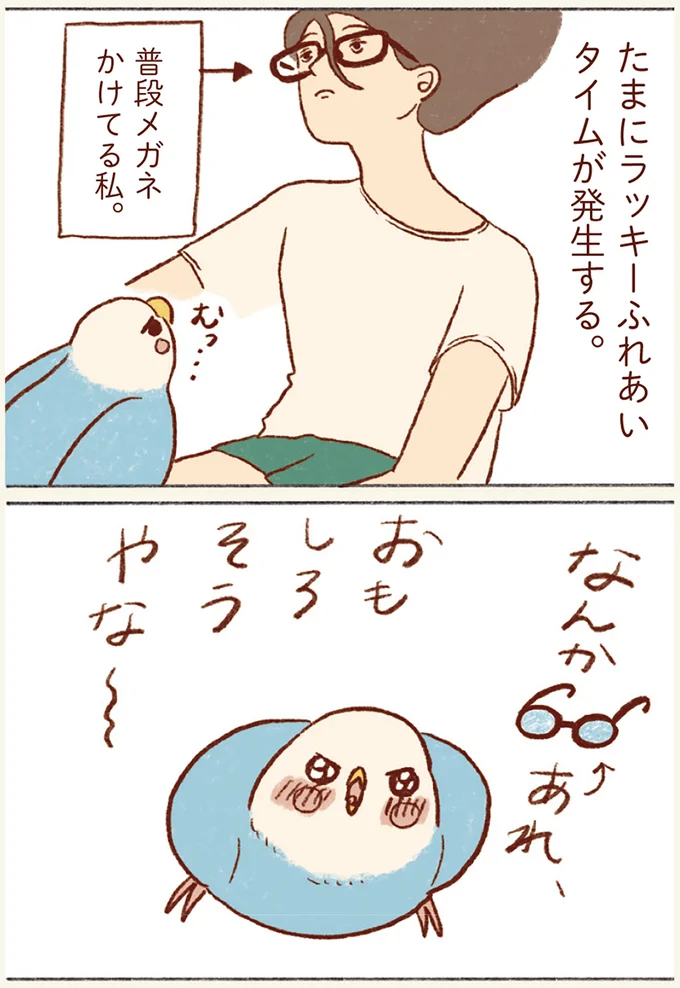 たまにラッキーふれあいタイムが発生する。