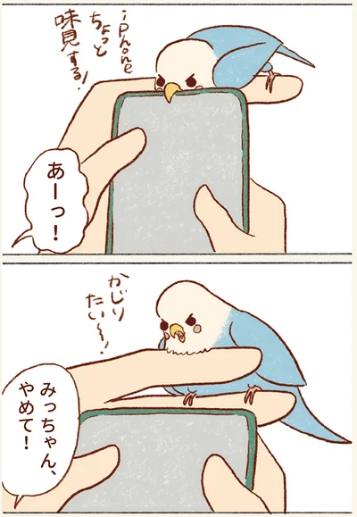 みっちゃんやめて！