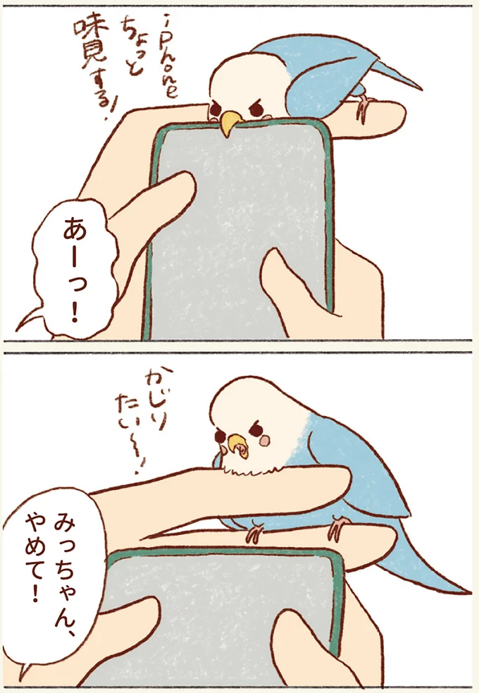 みっちゃんやめて！