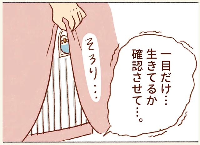 インコのケージの中が静かすぎる。夜、心配になってカバーを開けてしまう飼い主の気持ち