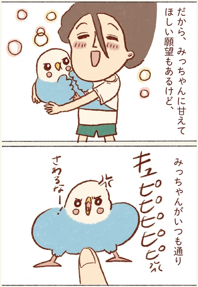 みっちゃんがいつも通り