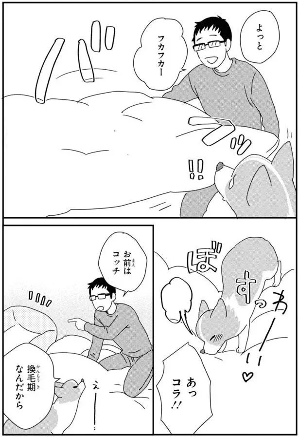 『あしょんでよッ〜うちの犬ログ〜7』より