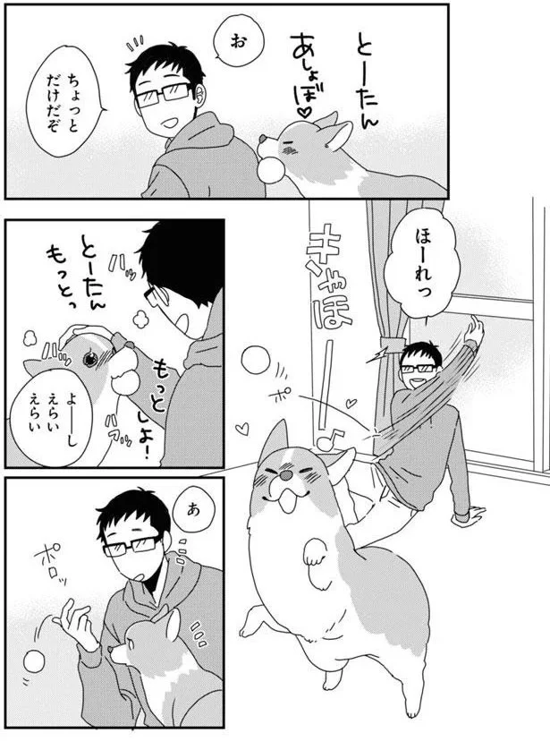 『あしょんでよッ〜うちの犬ログ〜7』より