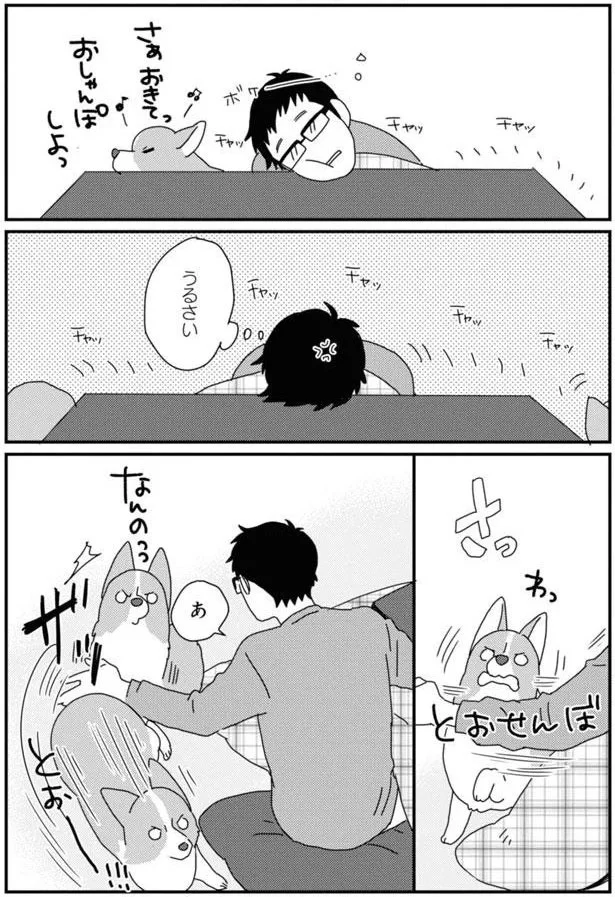 『あしょんでよッ〜うちの犬ログ〜7』より