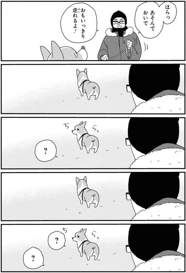 『あしょんでよッ〜うちの犬ログ〜7』より