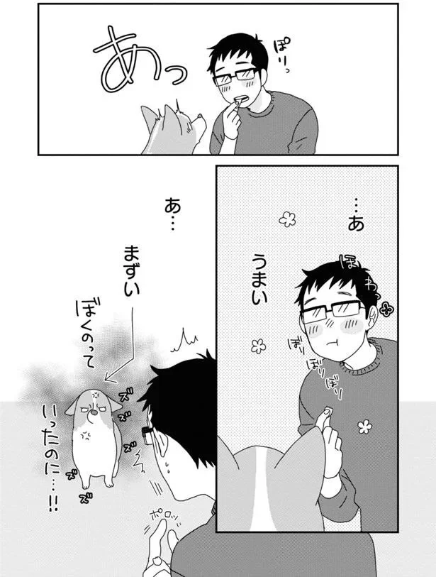 『あしょんでよッ〜うちの犬ログ〜7』より