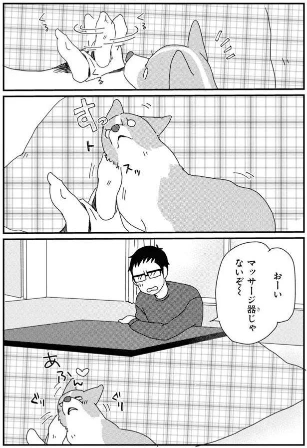 『あしょんでよッ〜うちの犬ログ〜7』より
