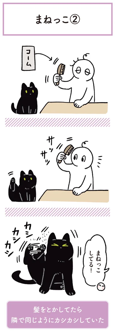 『黒猫ろんと暮らしたら6』より