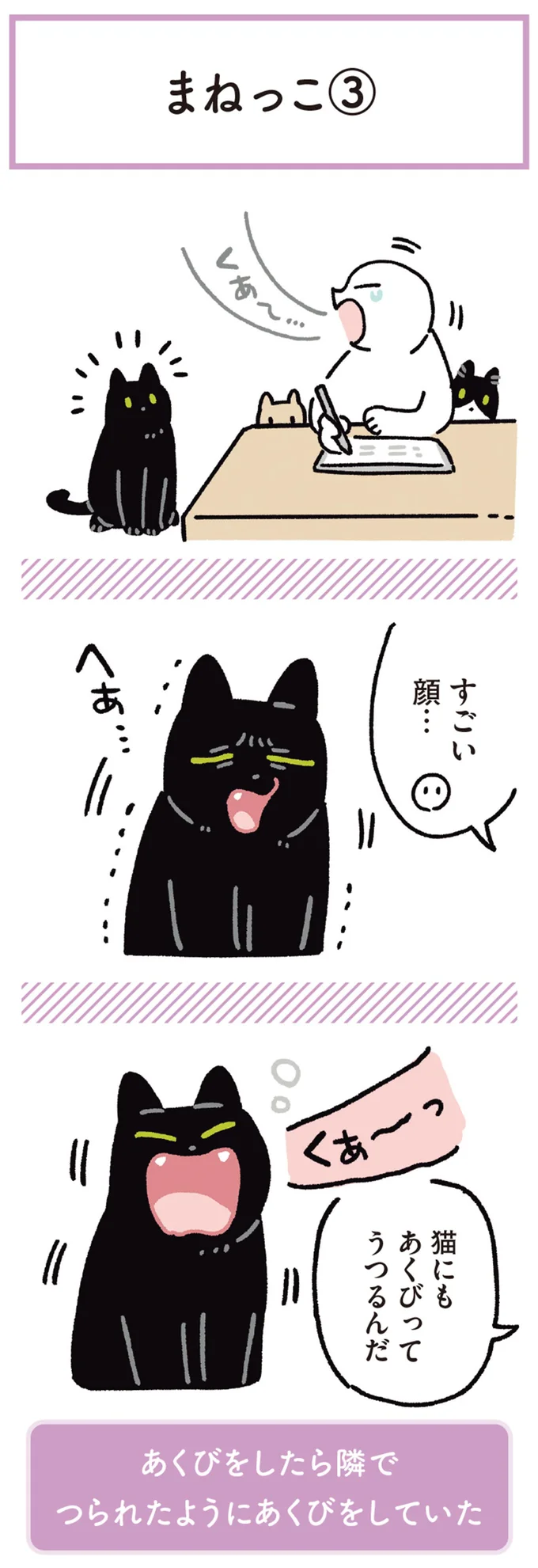 『黒猫ろんと暮らしたら6』より