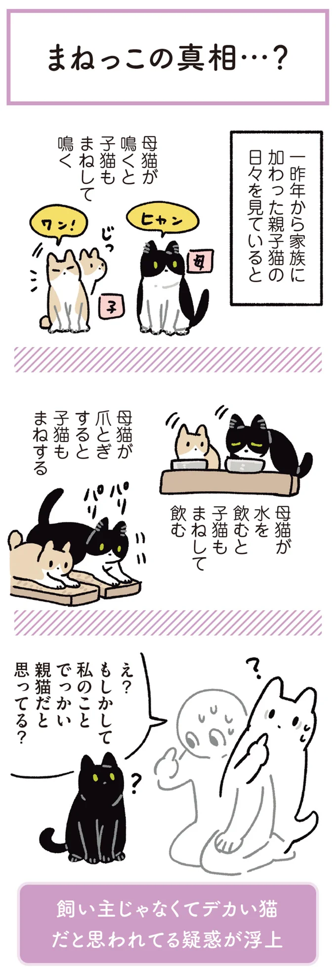 『黒猫ろんと暮らしたら6』より