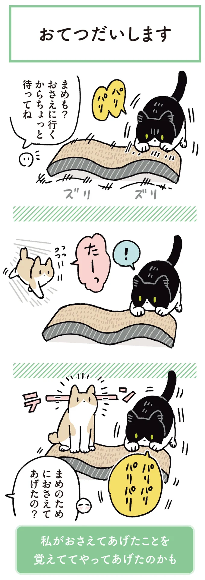 『黒猫ろんと暮らしたら6』より