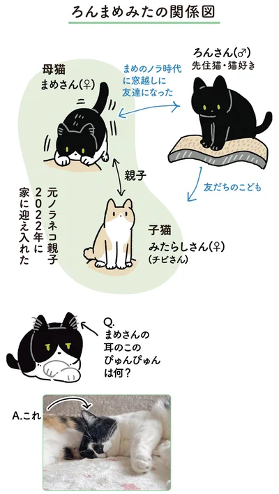 『黒猫ろんと暮らしたら6』より