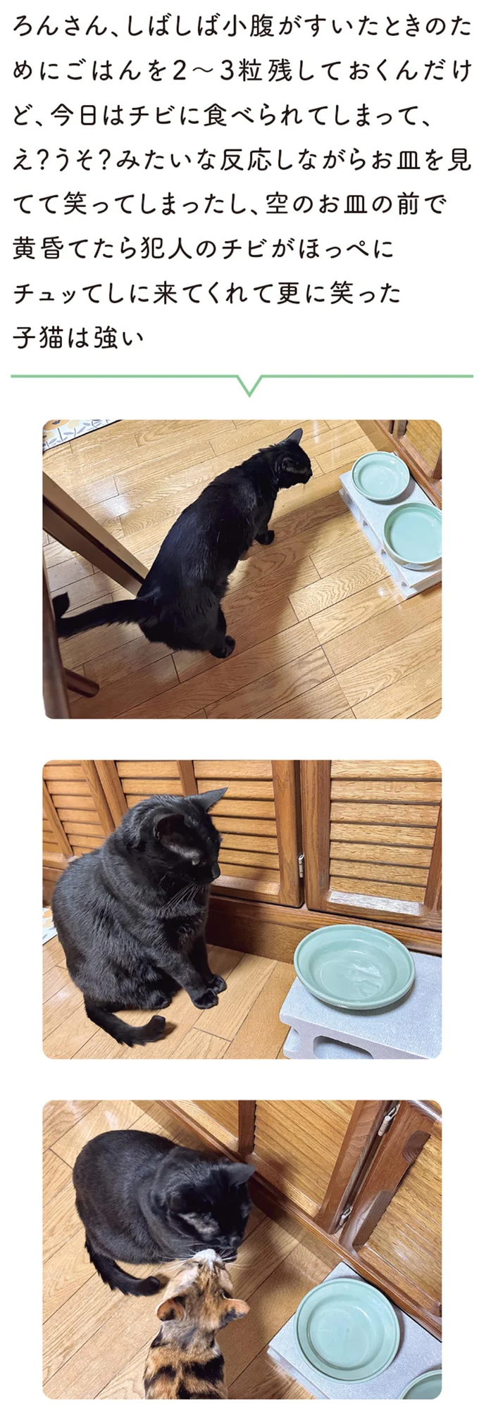 『黒猫ろんと暮らしたら6』より