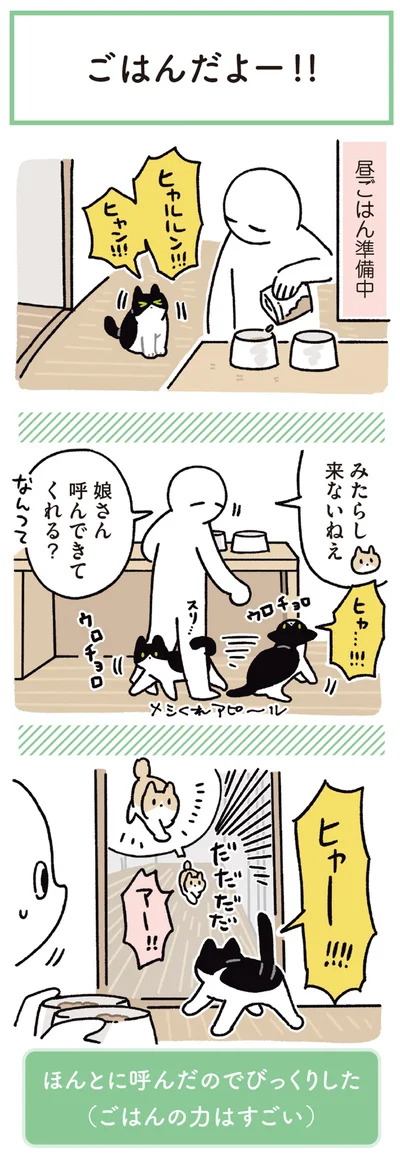 『黒猫ろんと暮らしたら6』より