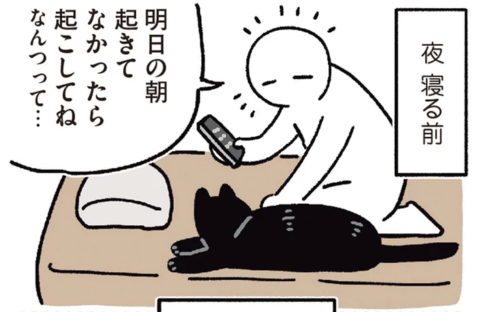 半分冗談のつもりだったのに。寝る前の飼い主が、黒猫ろんにお願いしたこと