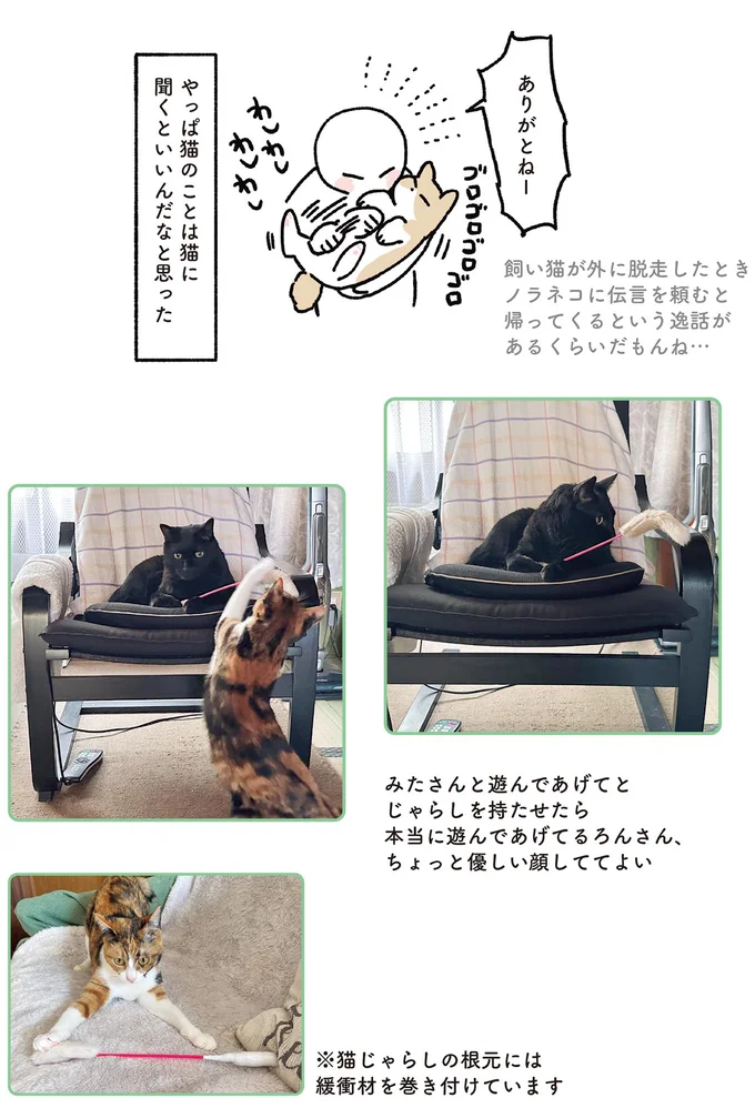 猫のことは猫に聞くといいんだなと思った