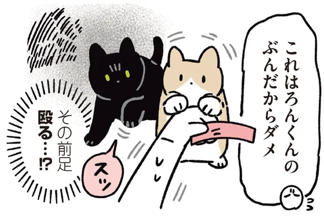 おやつを奪われたらさすがに怒る!?黒猫ろんがみせた新しい猫への反応