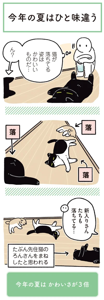 新入りさんたちも落ちてる…