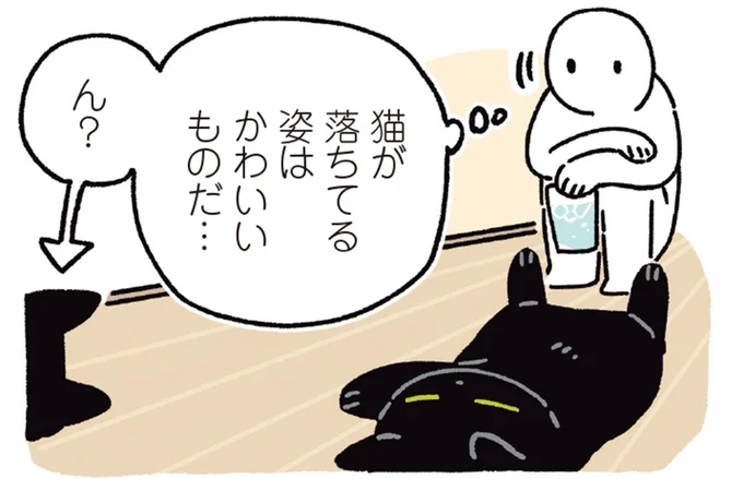 猫が落ちてる姿はかわいいものだ…ん？