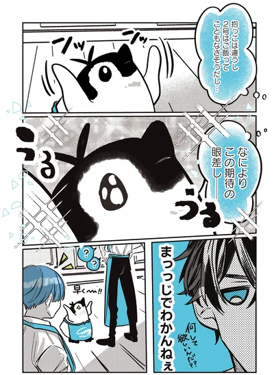 この期待の眼差し──