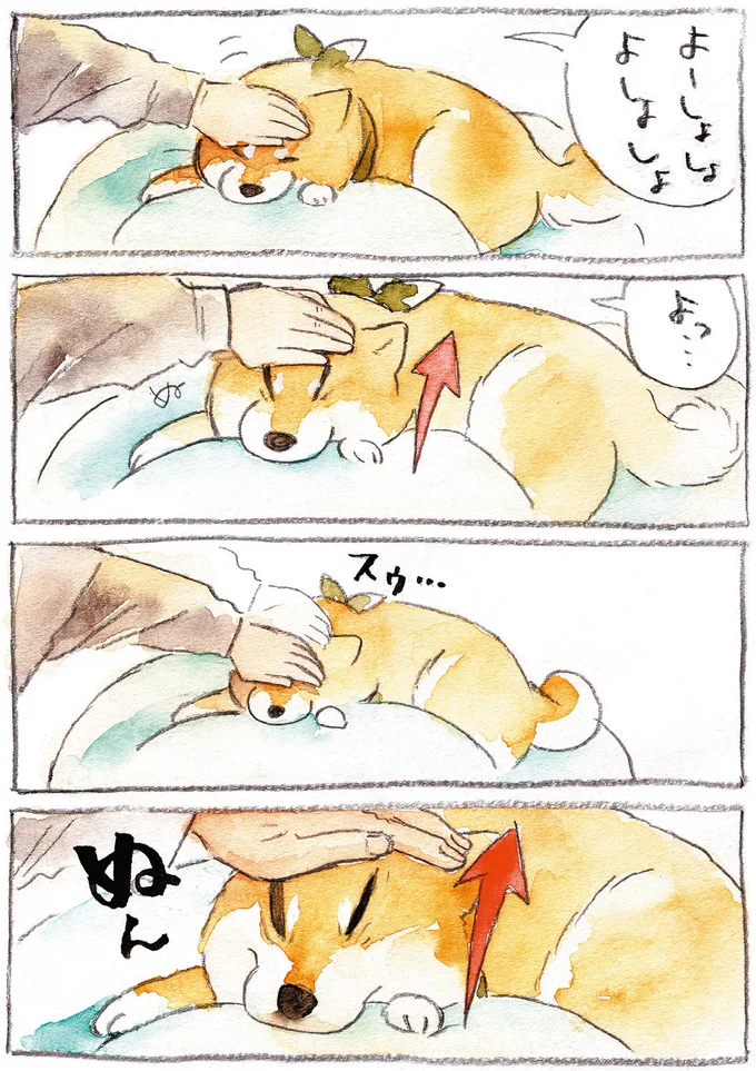 いないいないばあ