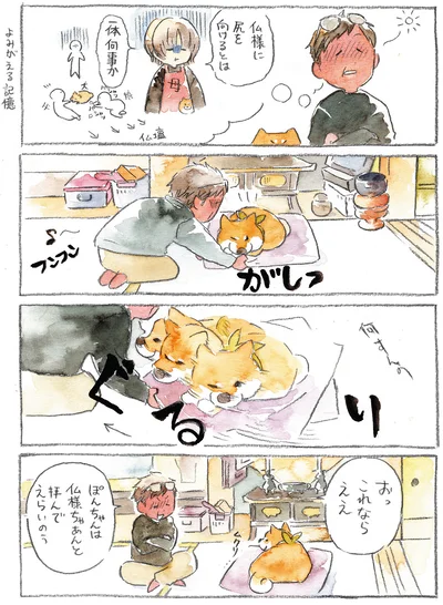 『柴犬ぽんちゃん、今日もわが道を行く』より