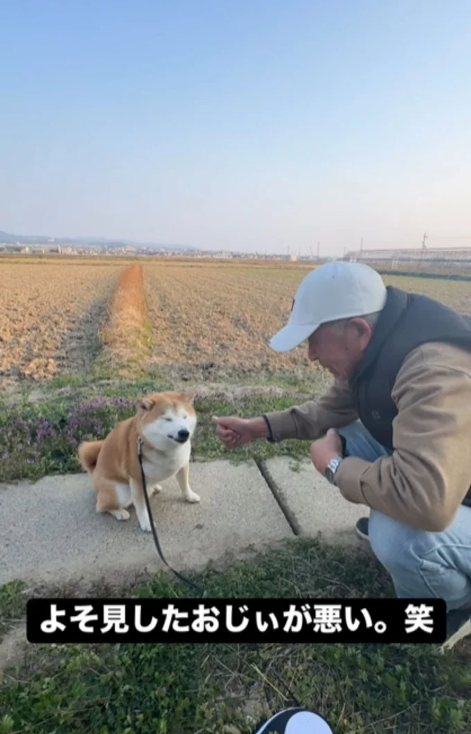 おやつをすかさずペロリと食べた富士くん▶散歩中にドッキリを仕掛けてみると…（⇒次へ）