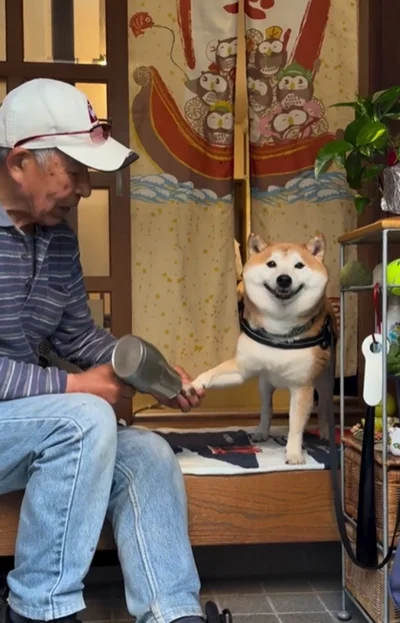 富士くんの片腕にドライヤーをあてるおじいちゃん▶安定の無視とは…！？（⇒次へ）