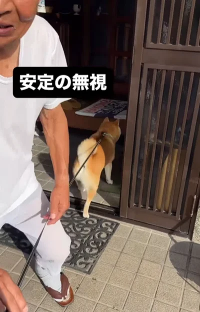 玄関で待っていたおじいちゃんを無視して中に入る富士くん▶歯磨きの意味…！（⇒次へ）