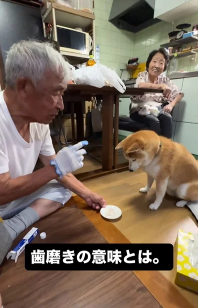 ご褒美の「おやつ」をもらう富士くん▶（次画像から自由気ままな柴犬との実録をえがいた『柴犬ぽんちゃん、今日もわが道を行く』が読めます）