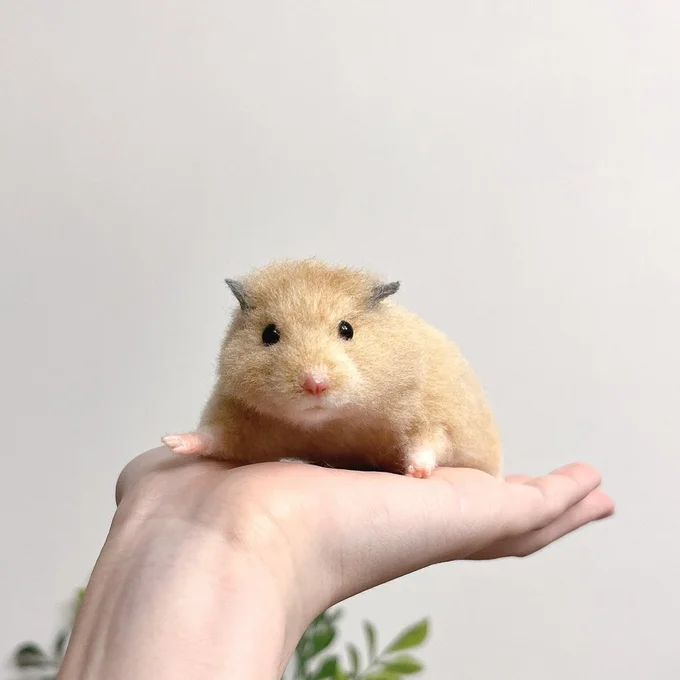 まだ毛が整っていない、生まれたてな雰囲気もまた可愛いですね♪▶表情づくりも一つ一つ手を抜かず（⇒次へ）