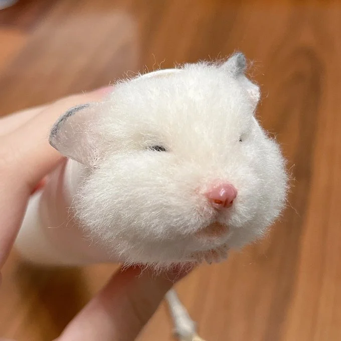 クセになりそうですね！こういう顔してる子、絶対いる！（笑）▶お水を飲むようなぺろぺろする姿の子も（⇒次へ）